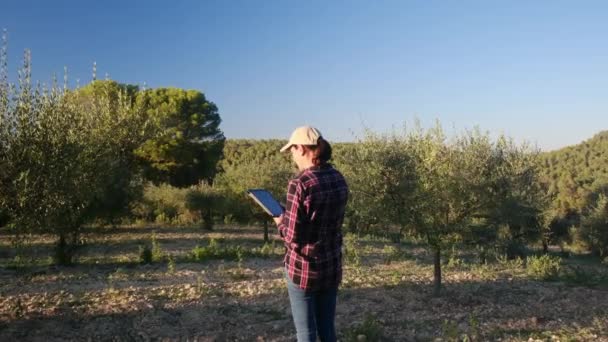 Kobieta Ogrodnik Bada Drzewa Urządzeniem Technologicznym Dużej Plantacji Profesjonalny Agronomista — Wideo stockowe
