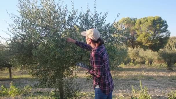 Kobieta Ogrodnik Bada Drzewa Urządzeniem Technologicznym Dużej Plantacji Profesjonalny Agronomista — Wideo stockowe