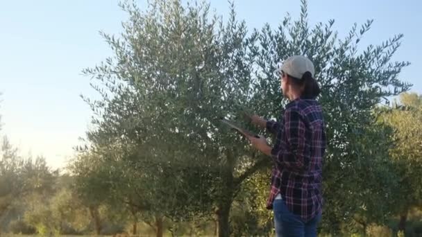 Jardineiro Mulher Inspecionando Árvores Com Dispositivo Tecnológico Grande Plantação Agronomista — Vídeo de Stock