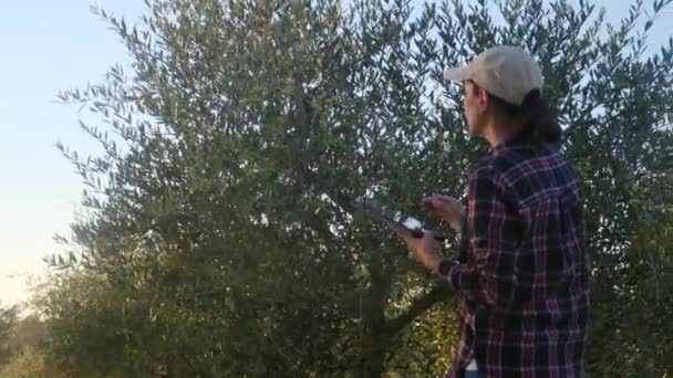 Vrouwelijke Tuinman Inspecteert Bomen Met Technologische Apparatuur Grote Plantages Professionele — Stockvideo