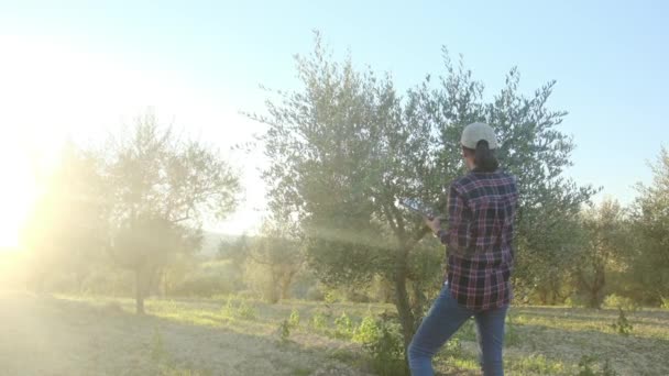 Donna Giardiniere Che Ispeziona Alberi Con Dispositivo Tecnologico Grande Piantagione — Video Stock