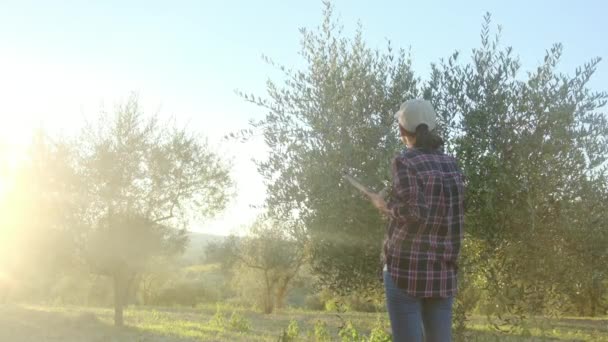 원예가는 커다란 농장에서 장치를 사용하여 나무들을 조사한다 농학자는 농경지에서 과정을 — 비디오