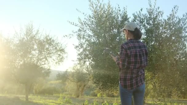 Gärtnerin Inspiziert Bäume Mit Technischem Gerät Großer Plantage Professionelle Agronomen — Stockvideo