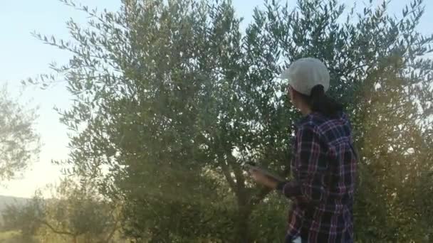 Vrouwelijke Tuinman Inspecteert Bomen Met Technologische Apparatuur Grote Plantages Professionele — Stockvideo