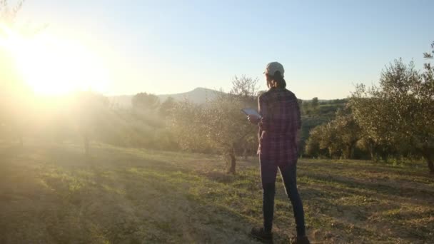 Γυναίκα Κηπουρός Επιθεωρεί Δέντρα Τεχνολογική Συσκευή Μεγάλη Φυτεία Επαγγελματίας Γεωπόνος — Αρχείο Βίντεο