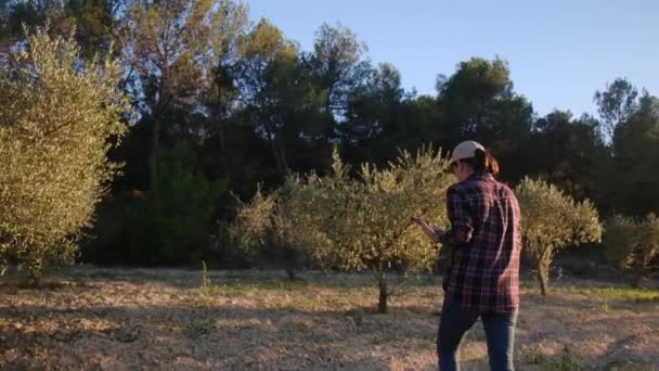 Mujer Jardinero Inspeccionando Árboles Con Dispositivo Tecnológico Plantación Grande Proceso — Vídeos de Stock