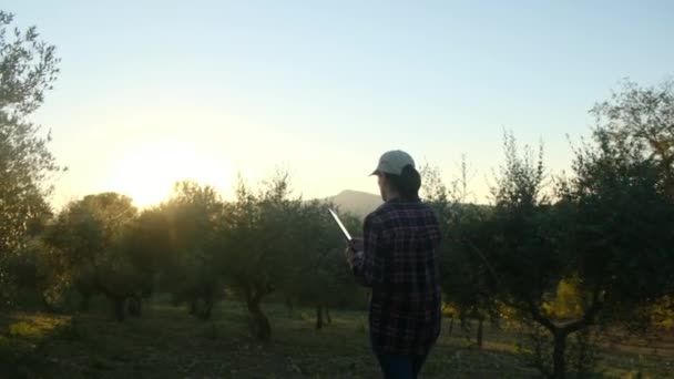 Женщина Садовница Осматривает Деревья Технологическим Устройством Большой Плантации Профессиональный Агроном — стоковое видео