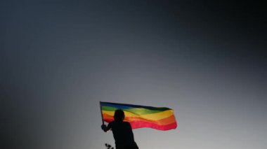 Gün batımında dalgalanan LGBTQ + bayrağıyla yalnız genç bir kadın. Eşitlik, eşitlik, dahil etme, LGBTQ konsepti. Aşk aşktır, ayrımcılık yok, özgürlüğe evet