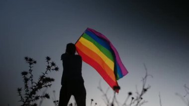 Gün batımında dalgalanan LGBTQ + bayrağıyla yalnız genç bir kadın. Eşitlik, eşitlik, dahil etme, LGBTQ konsepti. Aşk aşktır, ayrımcılık yok, özgürlüğe evet