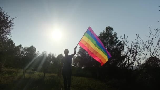 Young Woman Alone Lgbtq Flag Walking Waves Sunset Equality Equity — Stock Video
