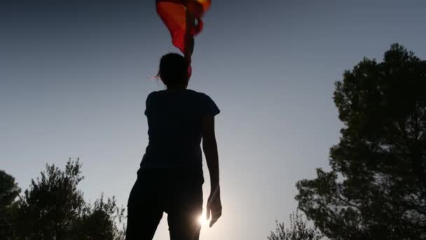Młoda Kobieta Sama Flagą Lgbtq Spaceruje Słońcu Równość Równość Integracja — Wideo stockowe
