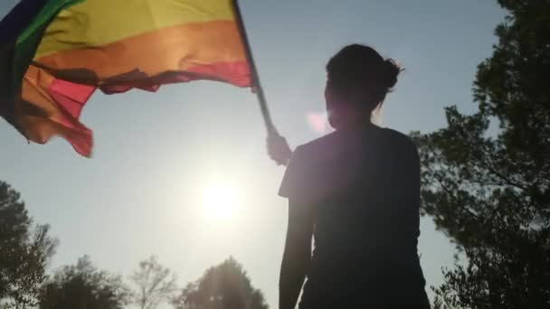 年轻女子与Lgbtq 的旗帜在日落时飘扬 Lgbtq概念 爱就是爱 没有歧视 对自由是的 — 图库视频影像