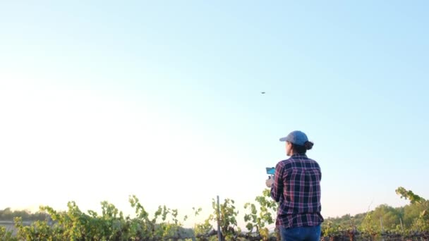 Jóvenes Agricultores Inspeccionan Campo Cultivo Con Dron Analizan Las Cosechas — Vídeos de Stock