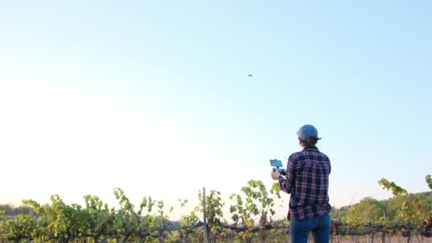 Jóvenes Agricultores Inspeccionan Campo Cultivo Con Dron Analizan Las Cosechas — Vídeo de stock