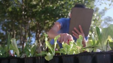 Elinde tabletle çiftçi çocuk odasındaki bitkileri kontrol ediyor.