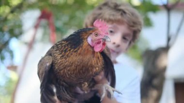 Çiftlikte tavuklu mutlu çocuk