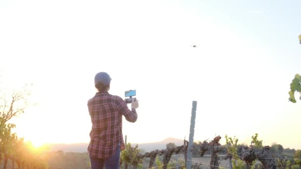 Tânărul Fermier Își Inspectează Câmpul Recoltă Folosind Dronă Analizează Recoltele — Videoclip de stoc