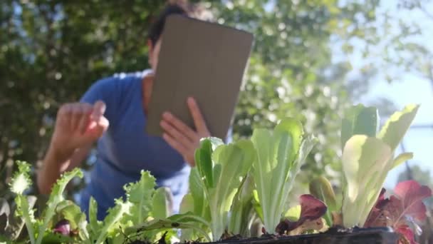 Landwirt Überprüft Pflanzen Gärtnerei Mit Tablet — Stockvideo