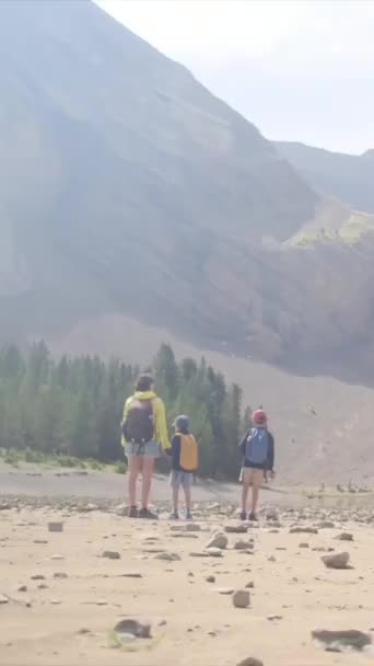 Enjoy Sunny Seasons Youthful Hiking Enthusiasts Family Outings Wilderness Fostering — Stock Video