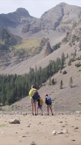 Godetevi Stagioni Soleggiate Con Giovani Appassionati Escursionismo Escursioni Famiglia Nella — Video Stock