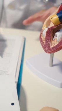 Kadın doktor, kalp rahatsızlığı ve kardiyomiyopati gibi obezite ile ilgili hastalıkları açıklamak için bir insan kalbi modeli kullanarak bir hastayı eğitir..