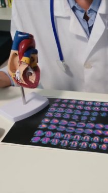 Kadın doktor, kalp rahatsızlığı ve kardiyomiyopati gibi obezite ile ilgili hastalıkları açıklamak için bir insan kalbi modeli kullanarak bir hastayı eğitir..