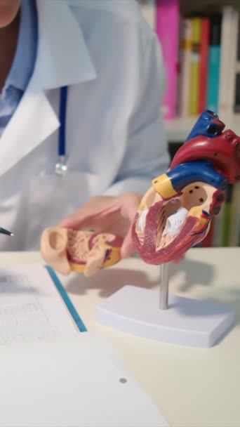 Γυναίκα Γιατρός Εκπαιδεύει Έναν Ασθενή Χρησιμοποιώντας Ένα Μοντέλο Ανθρώπινης Καρδιάς — Αρχείο Βίντεο