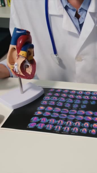 Kobieta Lekarz Kształci Pacjenta Przy Użyciu Ludzkiego Modelu Serca Celu — Wideo stockowe