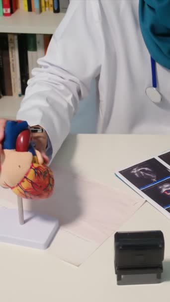 女性医師は 心臓病や心臓病などの肥満関連疾患を説明するために人間の心臓モデルを使用して患者を教育し 心臓の健康の重要性を強調 — ストック動画