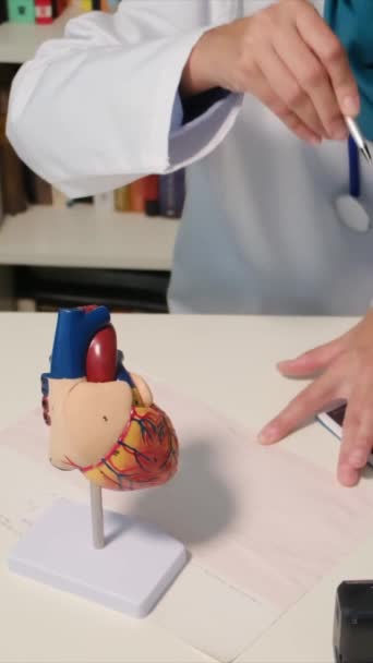 女医生用人类心脏模型对病人进行教育 解释与肥胖有关的情况 如心肌病和心脏病 强调心脏健康的重要性 — 图库视频影像