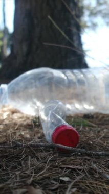 Ormanda yerde plastik şişeler