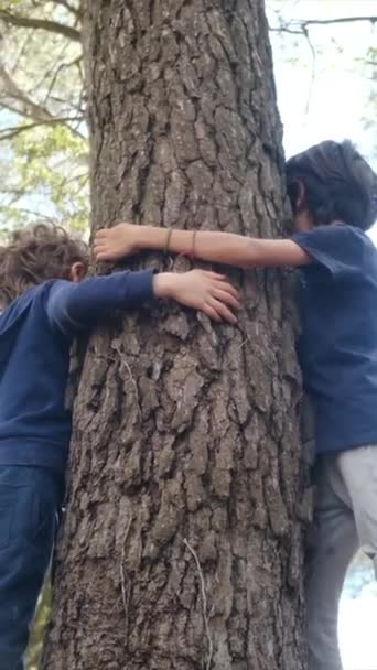 Счастливые Дети Обнимают Дерево Руками Среда Леса Эмоции Обнимающие Дерево — стоковое видео