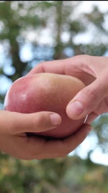 Elma tutan kadın ve çocuğun elleri