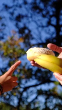 Anne ve oğlunun elleri meyve ve endüstriyel hamur işleri arasında seçim yapıyor. Sağlıklı meyve ve abur cubur arasında seçim yapmak zararlı beslenme, diyet konsepti yoluyla yararlı. Gıda eğitimi 