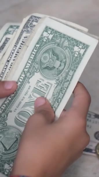 Garçon Comptant Les Dollars Les Factures — Video