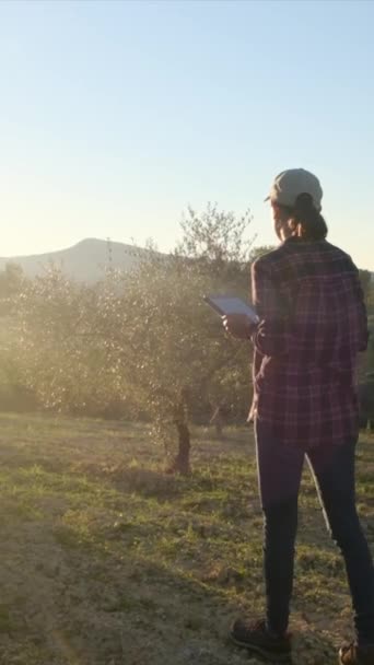 Фермер Табличкой Проверяющей Оливковые Деревья — стоковое видео