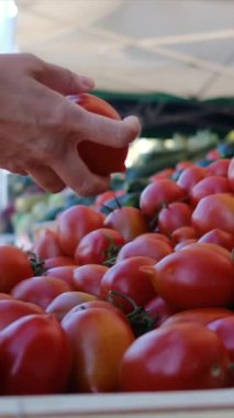 Piyasada domates seçen kadın 