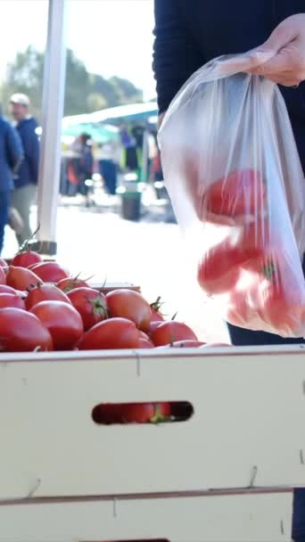 Mujer Poniendo Tomates Bolsa Plástico — Vídeos de Stock