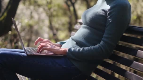 Giovane Donna Abiti Casual Seduta Nel Parco Con Computer Portatile — Video Stock