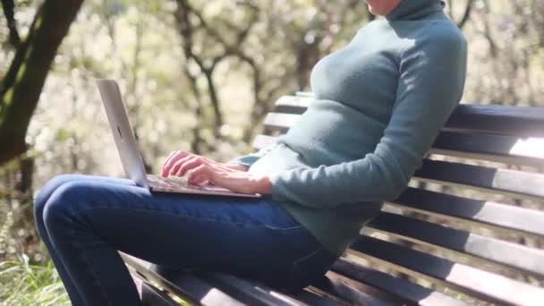 Mujer Joven Ropa Casual Sentado Parque Con Ordenador Portátil — Vídeos de Stock