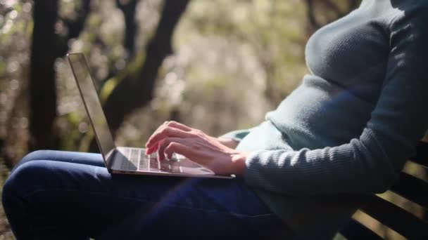 Junge Frau Legerer Kleidung Sitzt Mit Laptop Park — Stockvideo