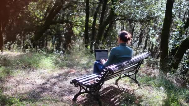 Giovane Donna Abiti Casual Seduta Nel Parco Con Computer Portatile — Video Stock