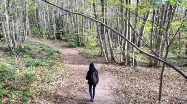 Ormanda akıllı telefonlu bir kadın doğa yürüyüşçüsü. 