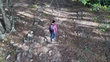 Kadın yürüyüşçü ormanda, doğa yolunda yürüyor.
