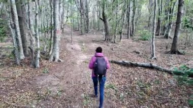 Kadın yürüyüşçü ormanda, doğa yolunda yürüyor.