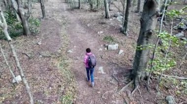 Kadın yürüyüşçü ormanda, doğa yolunda yürüyor.