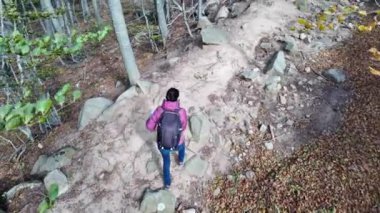 Ormanda haritalı bir kadın yürüyüşçü, doğa.