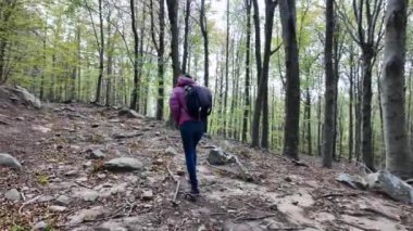 Kadın yürüyüşçü ormanda, doğa yolunda yürüyor.