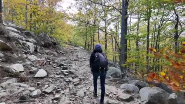 Ormanda doğa yürüyüşü yapan kadın. 