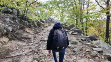 Ormanda doğa yürüyüşü yapan kadın. 